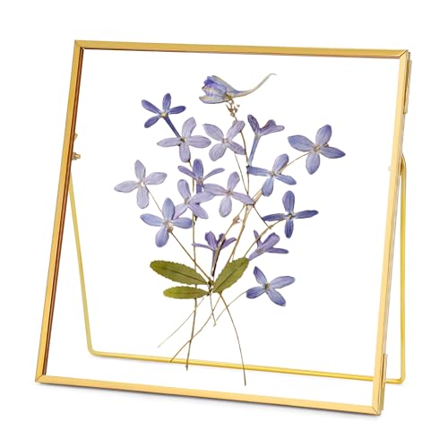 REDHUGO Double Glass Frame for Pressed Flowers, Square, Gold, 6x6 Inches | Handmade, Tabletop Photo Frame for Floating Picture and Flower Press, Simple, Metal Geometric - color: Gold, size: 6L" x 6W"