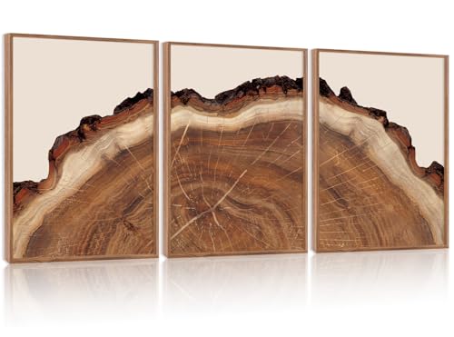 HPINUB Tree Rings Wood Wall Art Framed Set, Modern Beige Wood Stump Wall Decor, Abstract Tree Spiral Wall Painting,Nature-Inspired Art Print for Living Room, Bedroom, Office(Set of 3,12X16 Inch) - color: Abstract Tree Spiral Wall Art