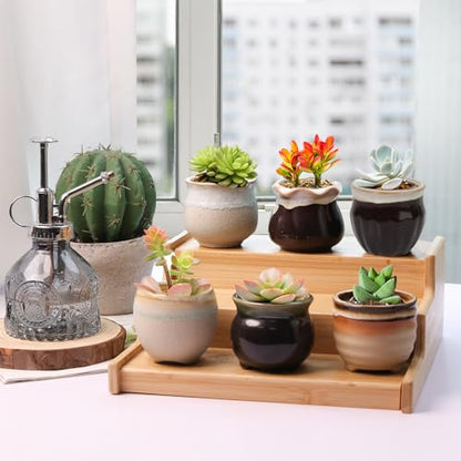 T4U Small Ceramic Succulent Pots with Drainage - Set of 12, Mini Pots for Plants, Home and Office Decor, Plant Lover Gifts for Women | Planters with Drainage, for live cactus plants, bonsai starter pots, indoor windowsill decor, office desk top accents -