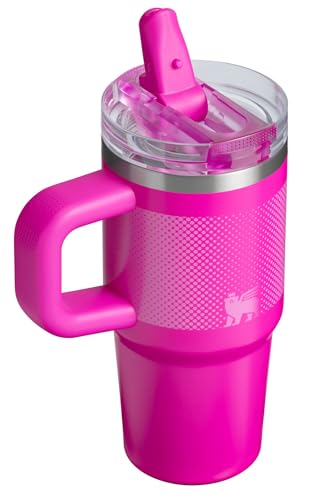 STANLEY Quencher ProTour Flipstraw Tumbler, 14 oz, Vivid Violet - Fade | Built-In Straw & Handle | Cupholder Compatible for Travel | Leakproof Insulated Stainless Steel Cup | BPA-Free - color: Vivid Violet Fade, size: 14 Ounces