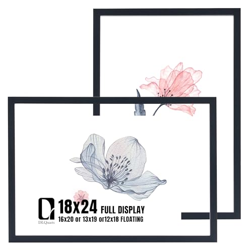 DLQuarts 18x24 Floating Picture Frame for 16x20/13x19/12x18/11x14 Photos, 2-Pack Solid Wood Double Plexiglass Wall Art Frames, Any Size Photo up to 18x24 Display, Black - color: Charcoal Black, size: 18x24