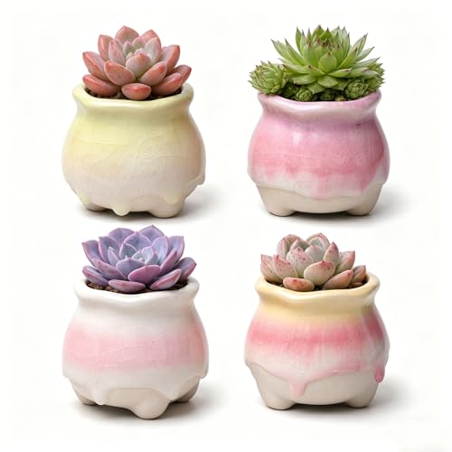 Ceramic Succulent Planters with Crackle Glaze, Gradient Color Small Flower Pots for Cacti and Plants, 3.23in Diameter x 2.8in Height, 4 Pack