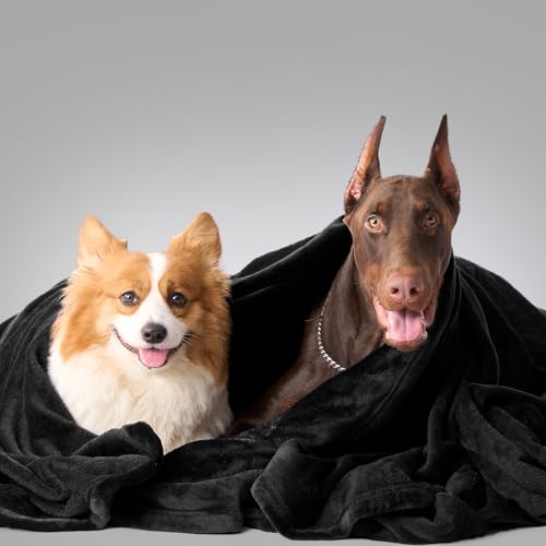 Hansleep Full Black Fleece Blanket, Soft Flannel Bed Blanket | Fuzzy Cozy Blanket 84x90 Inches, Multi-use for Bed, Sofa, Couch, Travel, Camping, All Season Warm Lightweight Cover - color: Black, size: Full (84x90 Inches)