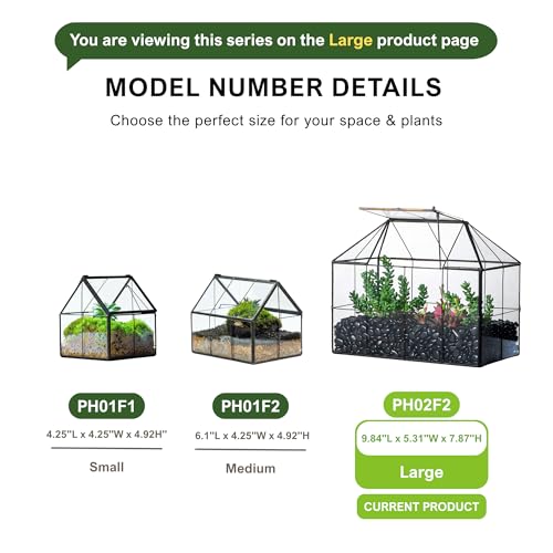 NCYP Glass Terrarium Planter with Lid for Small Succulent Plants, Grid House Shape Black Geometric Terrarium Pot, Home Garden Indoor Tabletop Decor, 9.84" x 5.31" x 7.87" (No Plants)