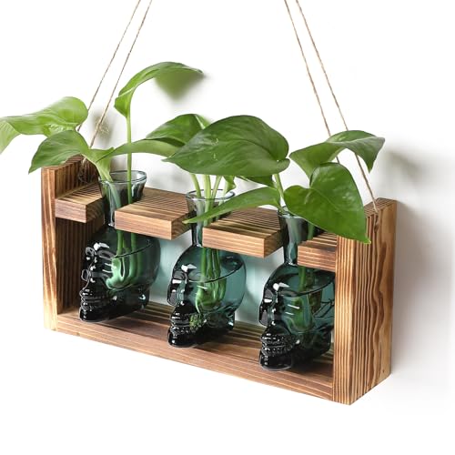 Plant Terrarium Propagation Stations Skull Planter Vase Skulls Decor | Hydroponics Halloween With Wooden Stand Gife for Father - color: Dark Green