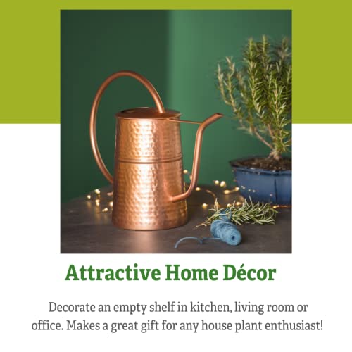 Gardener’s Supply Company Copper Plated Indoor Watering Can | 3 Quart Water Capacity, Curved Spout for Houseplants, Succulents, Seeds, and Herbs