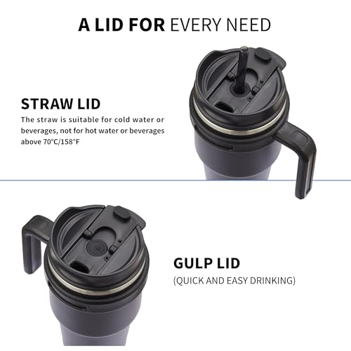 20 oz Insulated Travel Coffee Mug Tumbler with Handle and Straw | Leakproof Stainless Steel Coffee Cup with Lid, Double Wall Vacuum Ice Thermal Cup, Black - color: Black, size: 20 Ounces