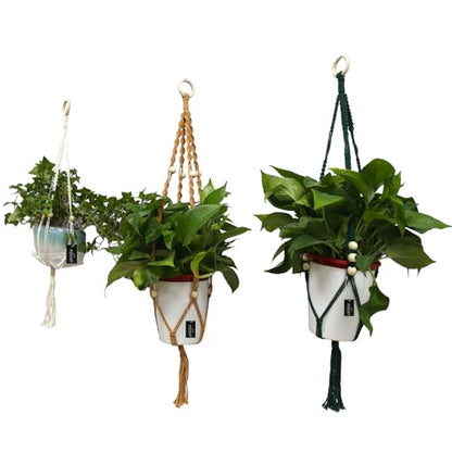 Macrame Plant Hangers Set of 3 – Handmade Indoor/Outdoor Hanging Planters in Yellow, Green, and Ivory, 35, 33, and 29 Inches, Boho Decor for Pots up to 9 Inches (Pots Not Included)