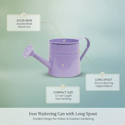 Long Spout Iron Watering Can for Indoor & Outdoor Plants, Durable Metal Design with Precise Flow Control (1 Pack) - color: Purple