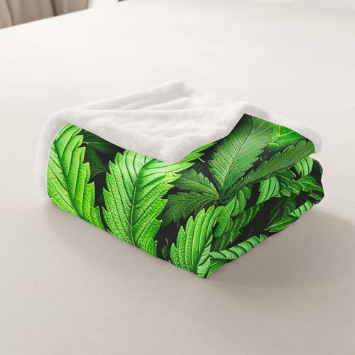Erosebridal Leaves Flannel Blanket for Kids Men Adult Leaf Printed Bed Blanket Green Nature Plant Hippie Plush Blanket Baby 30"x40" - color: Jcxs3815, size: Baby(30"x40")