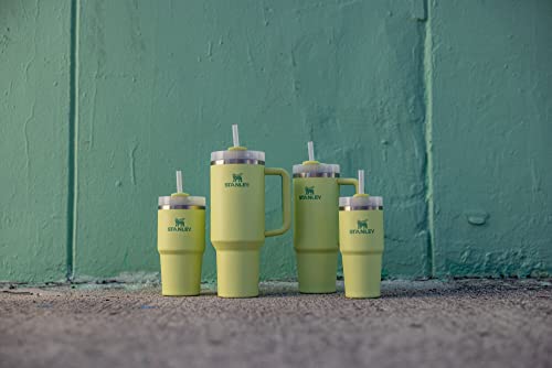 STANLEY Quencher H2.0 Tumbler with Straw 14 oz | Flowstate 3-Position Lid | Cup Holder Compatible for Travel | Insulated Stainless Steel Cup | BPA-Free | Citron - color: Citron, style: Classic