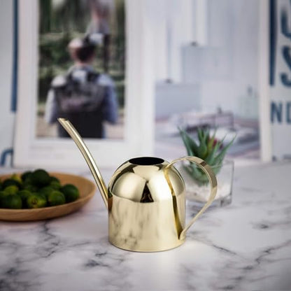 IMEEA 15oz Mini Indoor Watering Can for Small Plants Stainless Steel Watering Can with Long Spout for Desk, Windowsill & Bonsai (Gold) - color: 15oz (Gold)