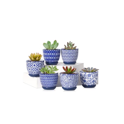Selamica Ceramic 2.4 Inch Succulent Pots, Mini Succulent Planter Pot for Cactus Plant with Drainage Holes & Saucers, Home Decor, Set of 6, Vintage Blue - color: Vintage Blue, size: 2.4 Inch, Set of 6