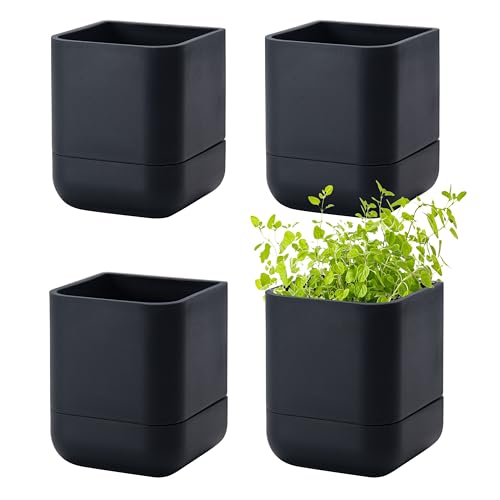 Phoenix Vine 3.5 Inch Wall Mounted Self-Watering Planter Pot for Indoor Houseplants and Herbs | Hanging Planter for Window Sills, Bathroom Walls, Home & Office Décor, Black, Set of 4, 01-A-E-4 - color: Black, size: 3.5" (4 Pack)
