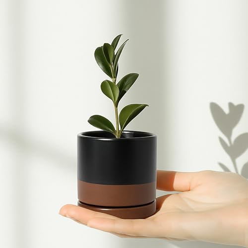 D'vine Dev 4-Pack Ceramic Pots with Saucers, Black/Tan, 3.5 in, 94-X-A-7 | Glazed Ceramic, Drainage Hole and Saucer, Sleek Cylinder Shape, High Temperature Fired, Ideal for Small Houseplants - color: Black/Speckled Tan, size: 3.5 Inch