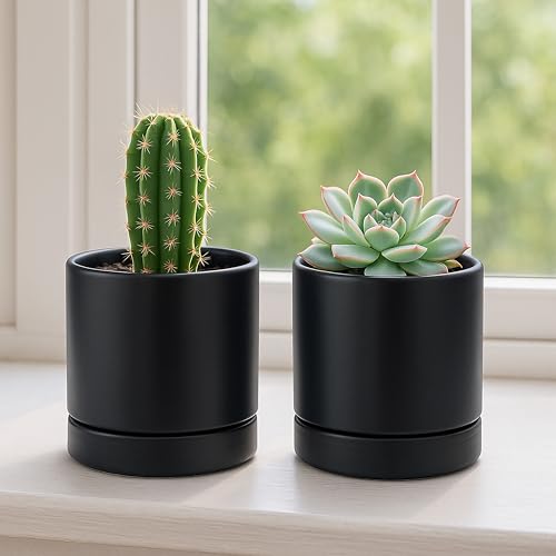 D'vine Dev 4-Pack Ceramic Pots with Saucers, Black, 4.7 in, 94-X-B-2 | Glazed Ceramic, Drainage Hole and Saucer, Sleek Cylinder Shape, High Temperature Fired, Ideal for Small Houseplants - color: Black, size: 4.7 Inch