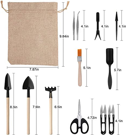 13-Piece Succulent Tool Set - Mini Gardening Kit with Stainless Steel Tweezers, Scissors, Shovel, Rake & Brush for Bonsai, Cactus, and Indoor Plant Care