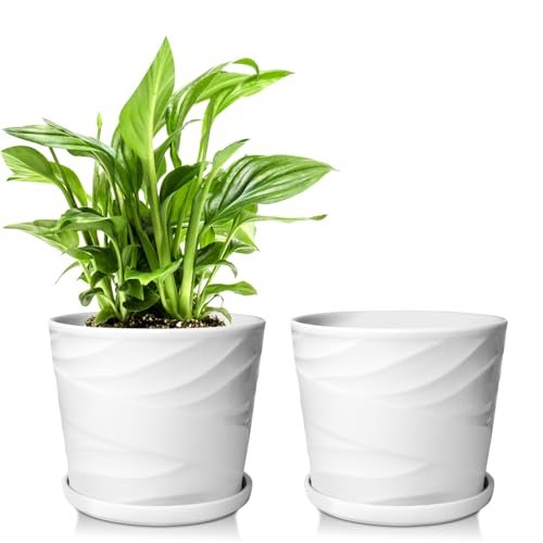 6 Inch Plant Pot,Ceramic Planter with Drainage and Saucer,Ceramic Pots for Plants,Planters for Indoor Plants,Ceramic Flower Pots(6.7 in Diameter) - color: Pure White, size: 6.7 Inch-2 Pack