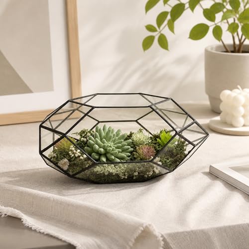 Ferris Island Handmade Glass Home Geometric Glass Succulent Flowerpot | Ideal for succulents, air plants, moss, mini ferns, and DIY terrarium arrangements with natural decorative accents. - size: 5.9"L x 11"W x 6.5"H