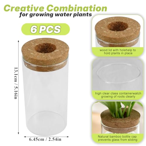 6 PCS Glass Plant Propagation Station for Plants Set Desktop Hydroponic Vases for Succulent Cuttings, Home Office Decoration, Desktop Planter Jars Being Able to Clearly See How Roots Develop
