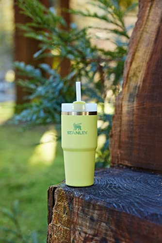 STANLEY Quencher H2.0 Tumbler with Straw 14 oz | Flowstate 3-Position Lid | Cup Holder Compatible for Travel | Insulated Stainless Steel Cup | BPA-Free | Citron - color: Citron, style: Classic