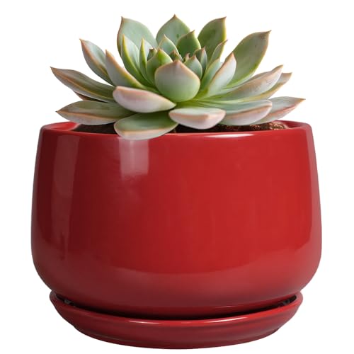 G EPGardening Ceramic Pot for Plants - 6 Inch Plant Pot with Drainage and Ceramic Tray, Modern Living Room Decor, Planter for Housewarming Gifts New Home, Red - color: Red, size: 5 Inch