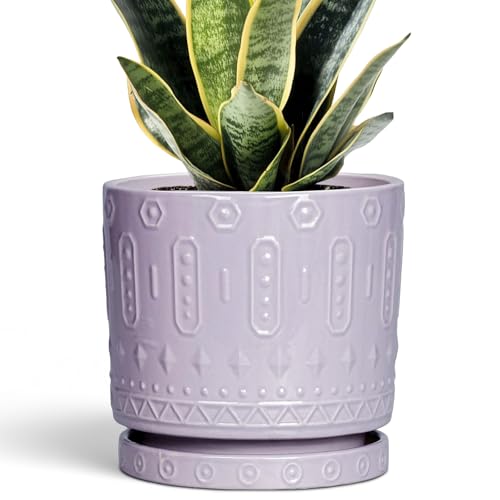 Eightpot Ceramic Pots for Plants, 6 Inch Plant Pot for Indoor Outdoor Plants, Round Planter with Drainage Holes and Saucer, Boho Decorative Flower Pots, Apartment Decor, Plant Lover Gifts, Purple - color: Purple, size: 6 Inch