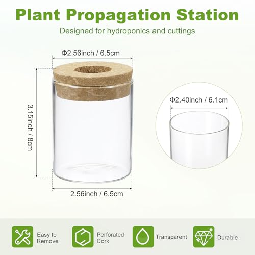 M METERXITY 1 Pack Glass Planter Terrarium with Wooden Cover, Desktop Plant Propagation Station Clear Vase for Hydroponic Plants Propagation/Home Garden Decor/Plant Lover [2.56'' x 3.15''] - size: 2.56'' x 3.15''