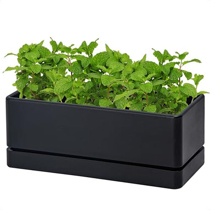 D'vine Dev Rectangular Planter, 12 x 4.5 in, Black, 76-X-B-1 | Minimalist Design, Large Planting Capacity, Drainage Holes & Saucer, Thick-Walled Durable Build, Ideal for Windowsills - color: Black