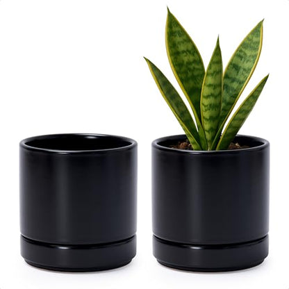 D'vine Dev 2-Pack Ceramic Pots with Saucers, Black, 4.7 in, 94-V-B-2 | Modern Cylinder Design, Glazed Ceramic, Drainage Hole & Saucer Included, High Temperature Fired, Elegant Home Accent - color: Black, size: 4.7 Inch