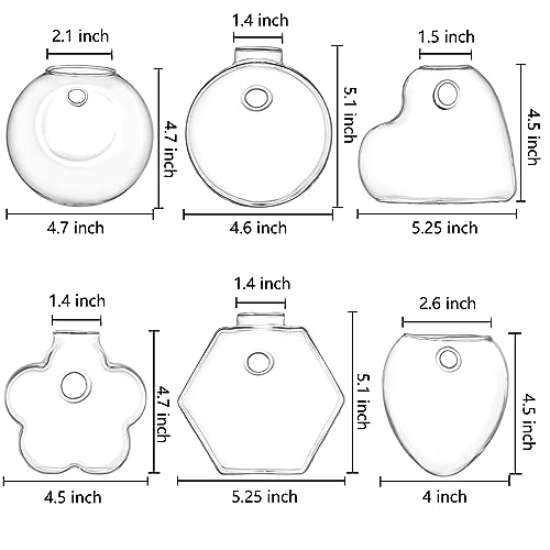 Set of 6 Wall Hanging Planter Terrarium, Clear Glass Plant Vase Wall Mount for Propagating Hydroponics Plant, Indoor Air Plants, Stylish 6 Shapes (Plants Not Included)