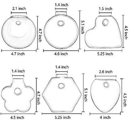 Set of 6 Wall Hanging Planter Terrarium, Clear Glass Plant Vase Wall Mount for Propagating Hydroponics Plant, Indoor Air Plants, Stylish 6 Shapes (Plants Not Included)