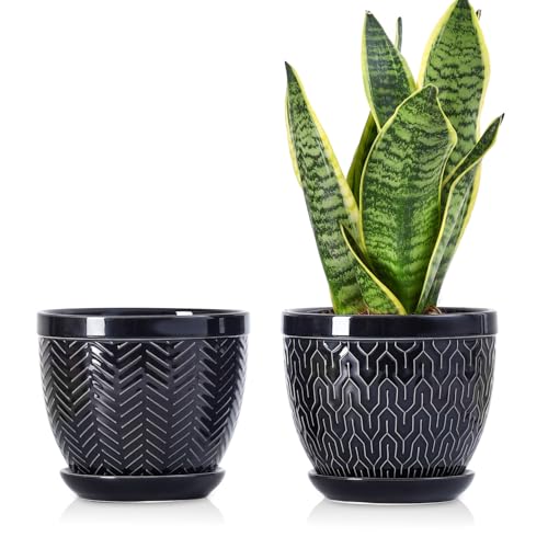 Sureasy 6.5 Inch Ceramic Plant Pots, Embossed Decorative Planters with Drainage Hole and Saucer, Modern Flower Pots for Indoor Plants, Set of 2, Black - color: Black, size: 6.5 inch