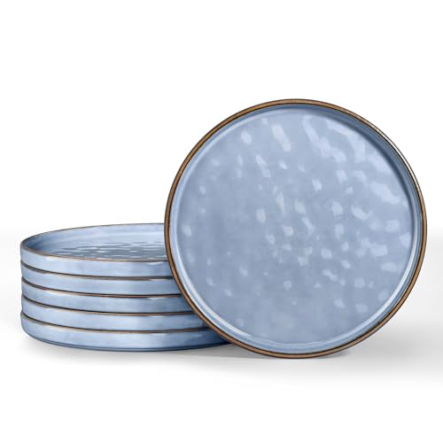LIANYU 6PCS Ceramic Flat Dinner Plates Set, Porcelain Salad Appetizer Dishes with High Edge, 7.9” Dessert Plates Set, Microwave, Oven, dishwasher Safe, Chip & Scratch Resistant, Serenity Blue - color: Serenity Blue, size: 7.9 Inch for 6