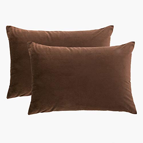 RainRoad Brown Throw Pillow Covers 12" x 20",Pack of 2 | Velvet Decorative for Couch Bedroom Pillow Case Cushion Cover - color: Brown-velvet, size: 20" x 12" (Pack of 2)