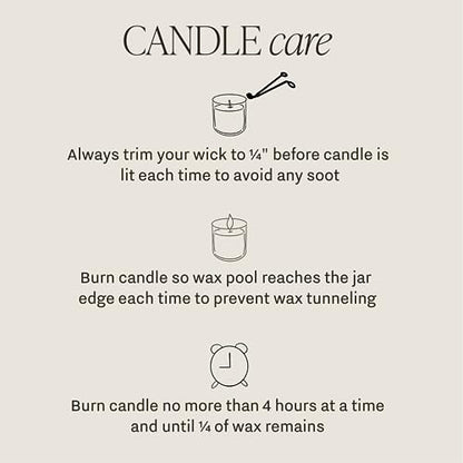 Sweet Water Decor Mango and Coconut Patterned Candle – Soy Candles with Pineapple, Mango, Orange, Peach – 40 Hour Burn – 9oz Clear Glass Jar – Ideal for Valentines Presents or Any Special Occasion - style: Mango and Coconut