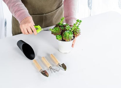 Josteve 5Pcs Succulent Tools Mini Garden Small Gardening Tools Indoor, Pruning Shear Gardening Scissors, Hand kit for Bonsai, Cactus, Fairy, Houseplant of Transplanting, Repotting, Seedling Soil - style: Classic Garden Tools