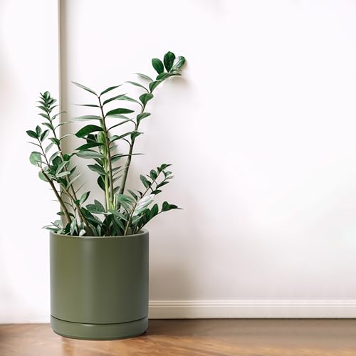 D'vine Dev 8.2 Inch Ceramic Planter Pot, Olive, 94-O-D-J | Modern Cylinder Design, Drainage Hole & Saucer Included, Stable Structure, Elegant Home Accent - color: Olive, size: Medium