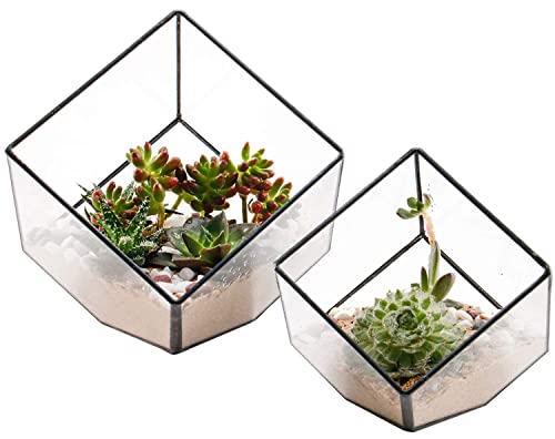 ELEGANTLIFE Glass Geometric Plant Terrarium Container, Flower Pot Tabletop Planter Decor Glass Display Box Succulent & Air Planter for Home Garden Office Decoration(Black Cubic Set of 2) - color: Black Cubic Set of 2