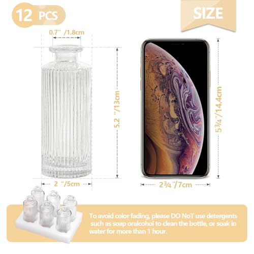 12PCS Mini Bud Vases As Vertical Wedding Centerpieces for Tables,Clear Bud Vases for Flowers,Small Flower Vases Suitable for Birthday Party,Anniversary,Wedding,Baby Shower (Clear-5.2in) - color: 12pcs