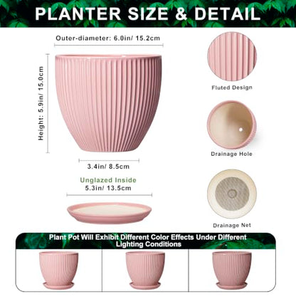 6 Inch Flower Pots, Ceramic Pots for Plants Indoor, Modern Plant Pot with Drainage Hole and Saucer, Decorative Small Round Succulent Planter, Living Room Office Decor, Women Men Gifts, Pink - size: 6 Inch, style: Pink