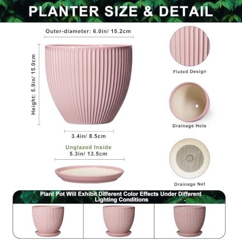 6 Inch Flower Pots, Ceramic Pots for Plants Indoor, Modern Plant Pot with Drainage Hole and Saucer, Decorative Small Round Succulent Planter, Living Room Office Decor, Women Men Gifts, Pink - size: 6 Inch, style: Pink