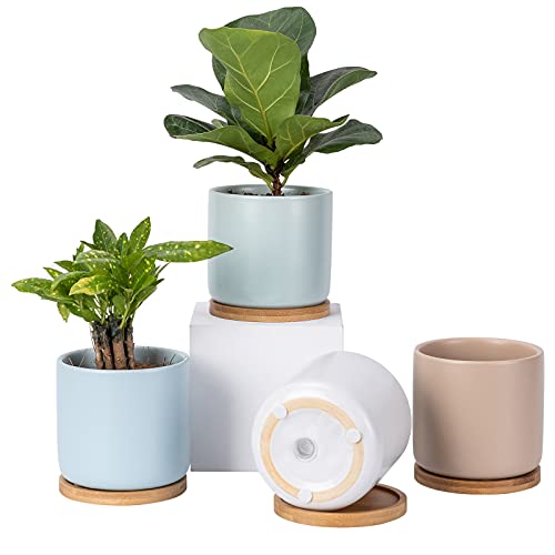 Succulent Pots, 4 Inch Ceramic Planter Plant Pot with Tray, Drainage Hole & Mesh Pad for Indoor Flowers, Cactus, Herbs, Aloes - Cool Multicolor, Set of 4 (Plant Not Included) | Small Planter Pot Set, Modern Round Planters, Cool Color, for Indoor Outdoor F