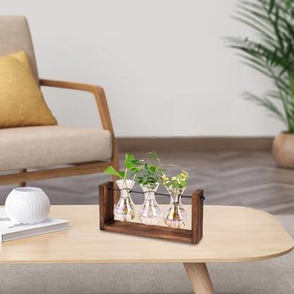 Propagation Stations Iridescent Plant Propagation Station, 3Pcs Gradient Bulb Vase with Wooden Stand Tabletop Plant Terrarium for Hydroponics Home Office Garden Decor|Terrariums
