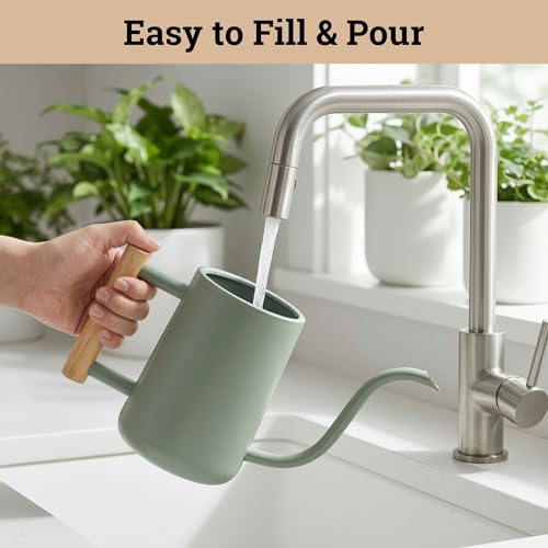 Metal Small Indoor Watering Can with Long Spout & Real Wood Handle, 35oz | Long Spout, Stainless Steel, Real Wood Handle, Gentle Flow, No Spills, Suitable for House Plants, Succulents & Seedlings - color: Sage Green