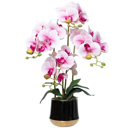 Artificial Orchid Flowers in Ceramic Vase 19.5 Inch Realistic Faux Orchids | Pink Fake Flower Silk Phalaenopsis Plant Arrangements for Home Office Restaurant Indoor Centerpiece Decor (Set of 4 Stems) - color: Pink, size: 14CM- BlackGolden