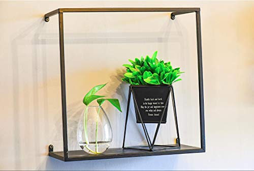 Kingbuy Egg Shaped for Propagating Hydroponic Plants 4 Pack Wall Planter | Borosilicate glass, clear & durable. Egg-shaped wall-mounted vases. Ideal for hydroponics, air plants, cuttings. Great gift. - color: Ellipse Shape