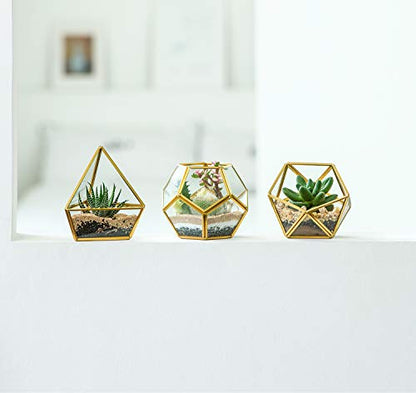 Mkono 3 Pack Geometric Glass Terrarium, 4" Gold Air Plant Holder Tabletop | Modern Centerpiece Decor, 3 Shapes Metal Frame, Fits Succulent Moss Fairy Garden Shelf Coffee Table, Plants Not Included - color: Gold