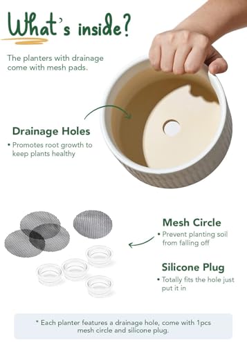 LE TAUCI Succulent Pots, 6.5+8 Inch Ceramic Indoor Plant Pot with Drainage Hole, Shallow Round Succulent Planters, Set of 2, Matte White - color: White