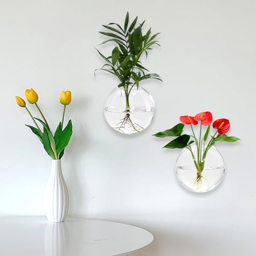 Wall Hanging Propagation Station 6 Pack Oblate Glass Hydroponic Plant Vases | Decorative Wall Mount Planter Vases for Home Bathroom Office, Perfect Housewarming Gift ﻿